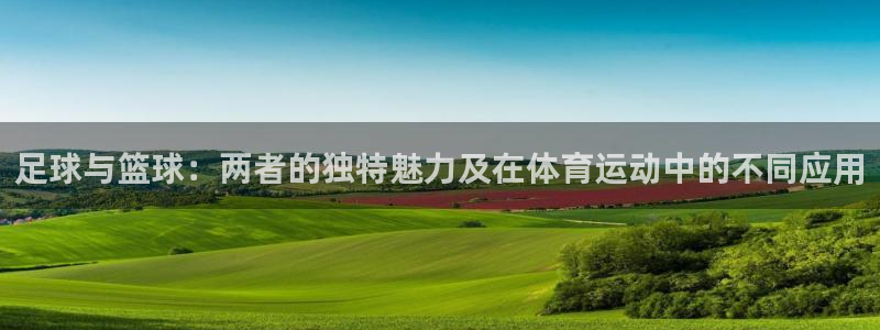 vsport体育官网下载平台是正规平台吗：足球与篮球
