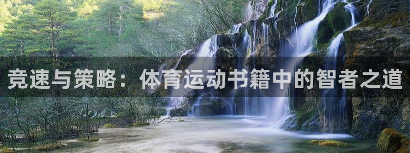 vsport体育官方正版app娱乐：竞速与策略：体育