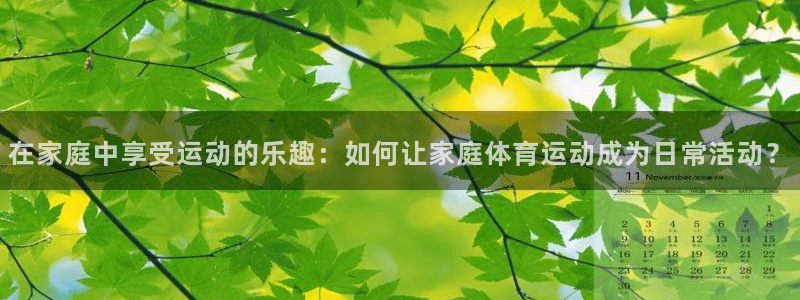 vsport体育官方正版app娱乐网站：在家庭中享受