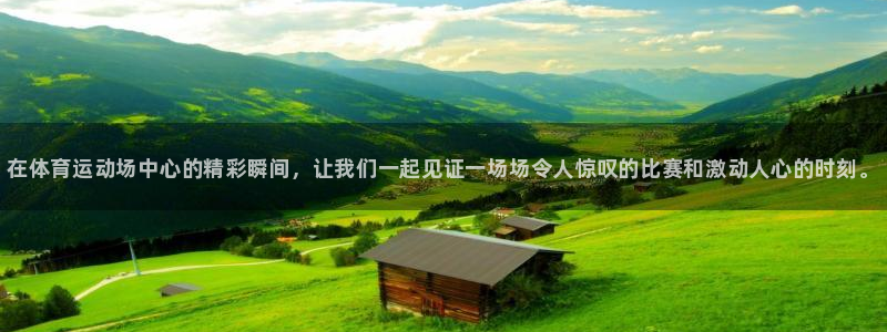 vsport体育官方正版app娱乐代理怎么样：在体育