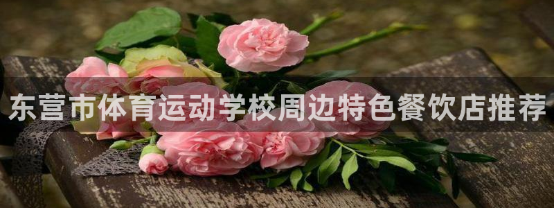 vsport体育官网下载招商：东营市体育运动学校周边