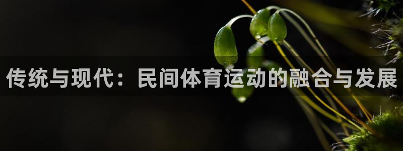 vsport体育官网下载招商电话号码查询是多少：传统