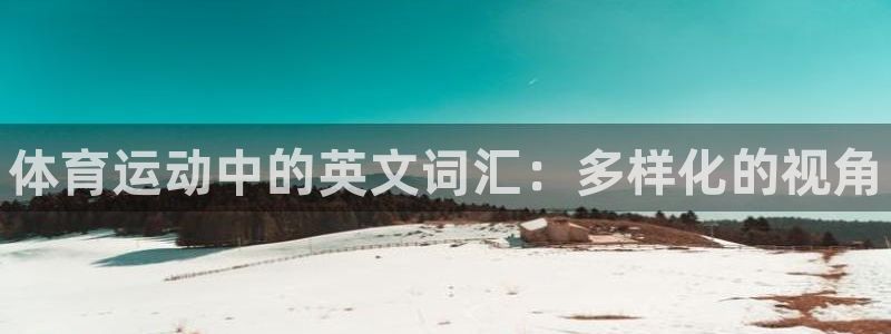 vsport体育官方正版app娱乐是那个系列的台子：