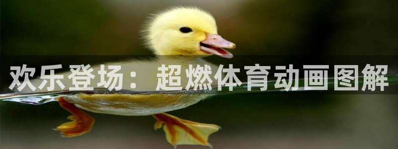 vsport体育官网下载招商电话地址：欢乐登场：超燃
