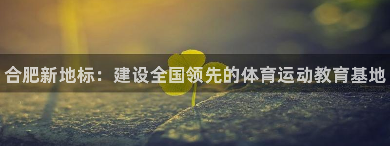 vsport体育官网下载注册：合肥新地标：建设全国领