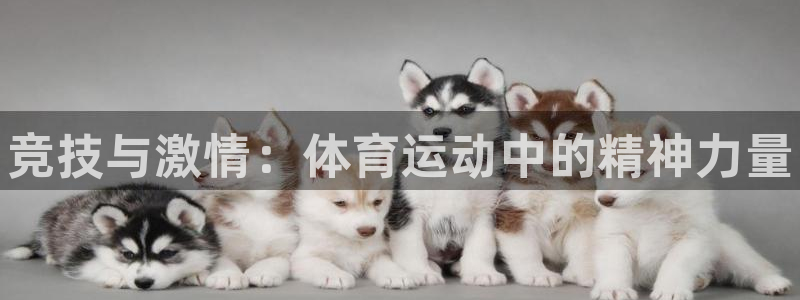 vsport体育官网下载招商电话：竞技与激情：体育运