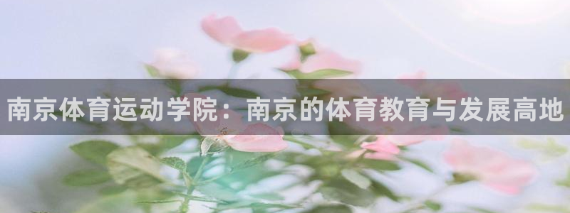 vsport体育官方正版app集团：南京体育运动学院