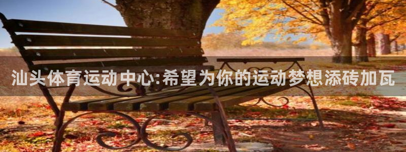 vsport体育官方平台体育：汕头体育运动中心:希望