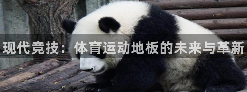 vsport体育官网下载：现代竞技：体育运动地板的未