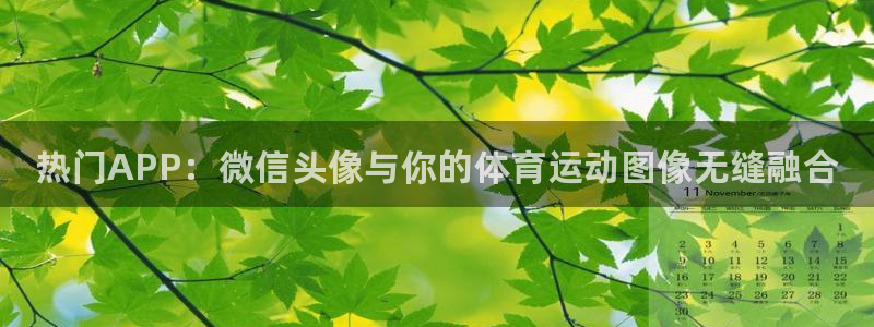 vsport体育官网下载招商电话是多少：热门APP：