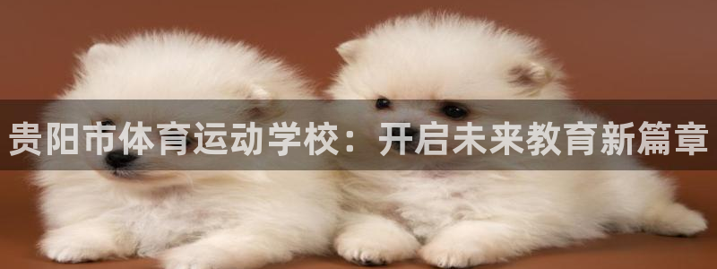 vsport体育官网下载平台假的吗是真的吗吗：贵阳市