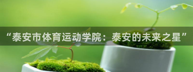 vsport体育官方正版app新能源：“泰安市体育运动学院：