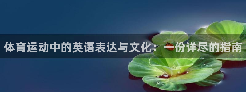 vsport体育阿根廷