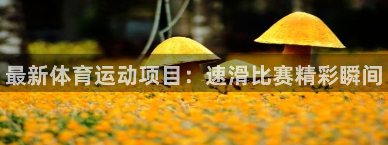 Vsport体育官方网站入口