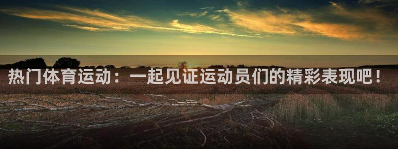 VSport体育平台-胜利因您更精彩