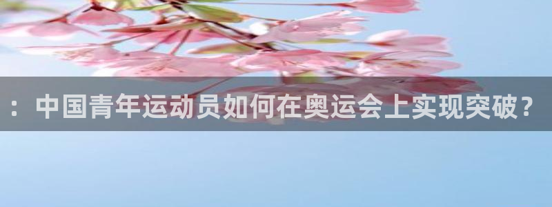 vsport体育平台app
