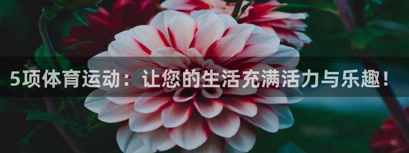 vSport体育在线登录平台：5项体