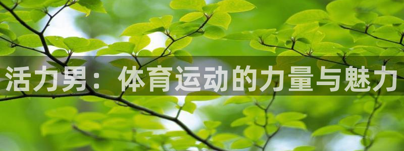 VSport体育官网入口：活力男：体