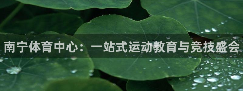 vsport体育平台：南宁体育中心：