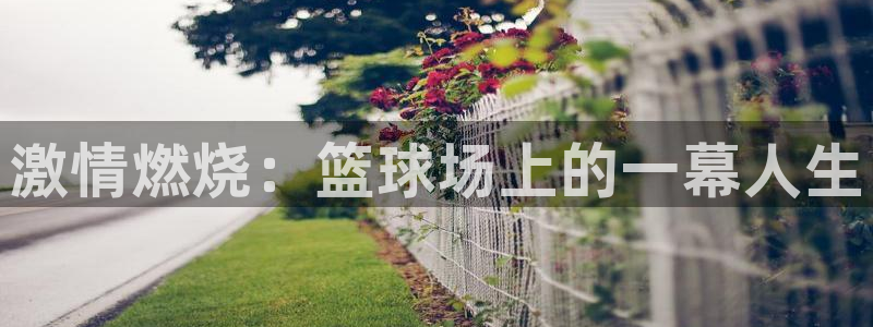  Vsport体育官方网站入口：激情燃烧：篮球场上的一幕人生