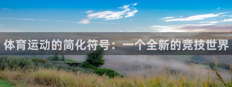 vsport体育平台app下载安装免费：体育运动的简化符号：