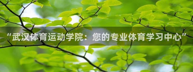 Vsport体育官网：“武汉体育运动学院：您的专业体育学习中