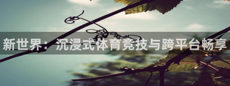  vsport体育在线官网阿根廷：新世界：沉浸式体育竞技与跨平
