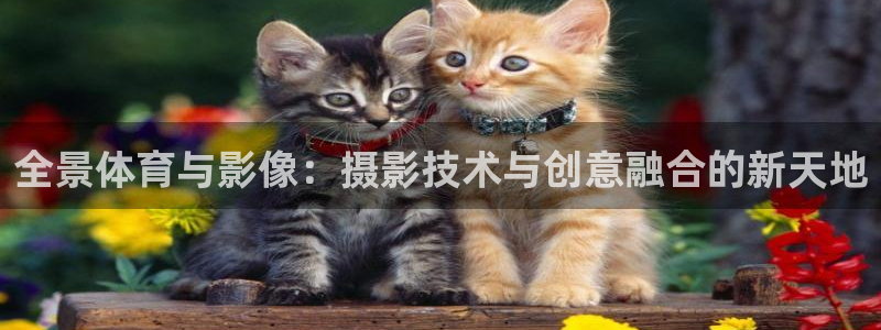  vsport体育官网：全景体育与影像：摄影技术与创意融合的新