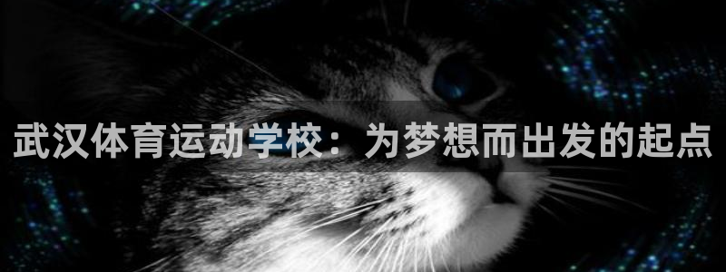 VSport体育平台-胜利因您更精彩