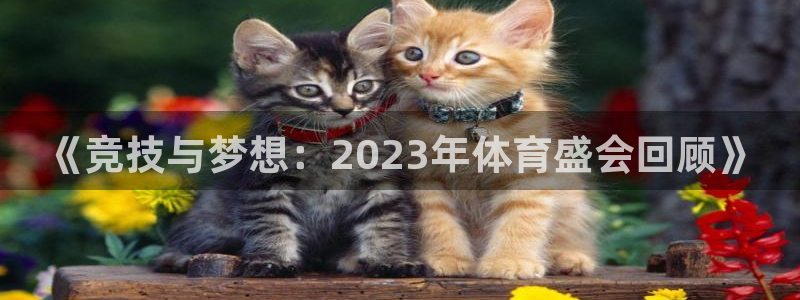 vsport体育平台app下载安装免费：《竞技与梦想：202