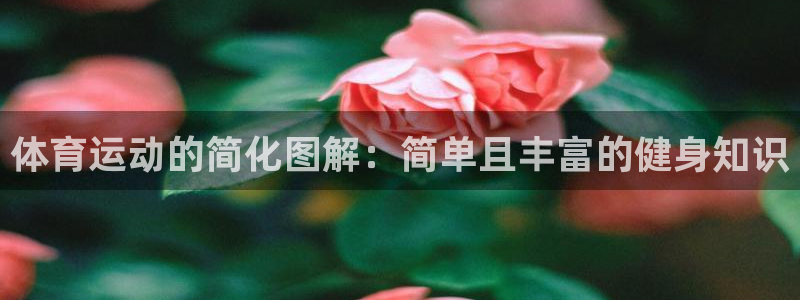 vSport体育在线登录平台：体育运