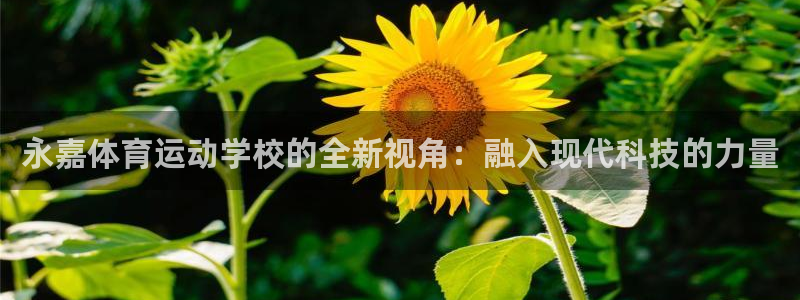 Vsport体育官网：永嘉体育运动学