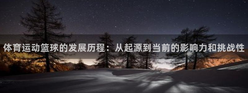VSport体育官网入口：体育运动篮球的发展历程：从起源到当