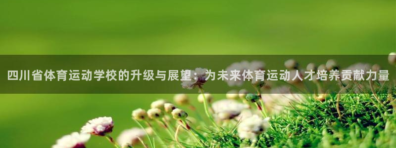 vsport体育平台：四川省体育运动学校的升级与展望：为未来